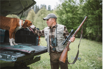 Making The Most Of The Off-Season: Activities For Your Hunting Dog